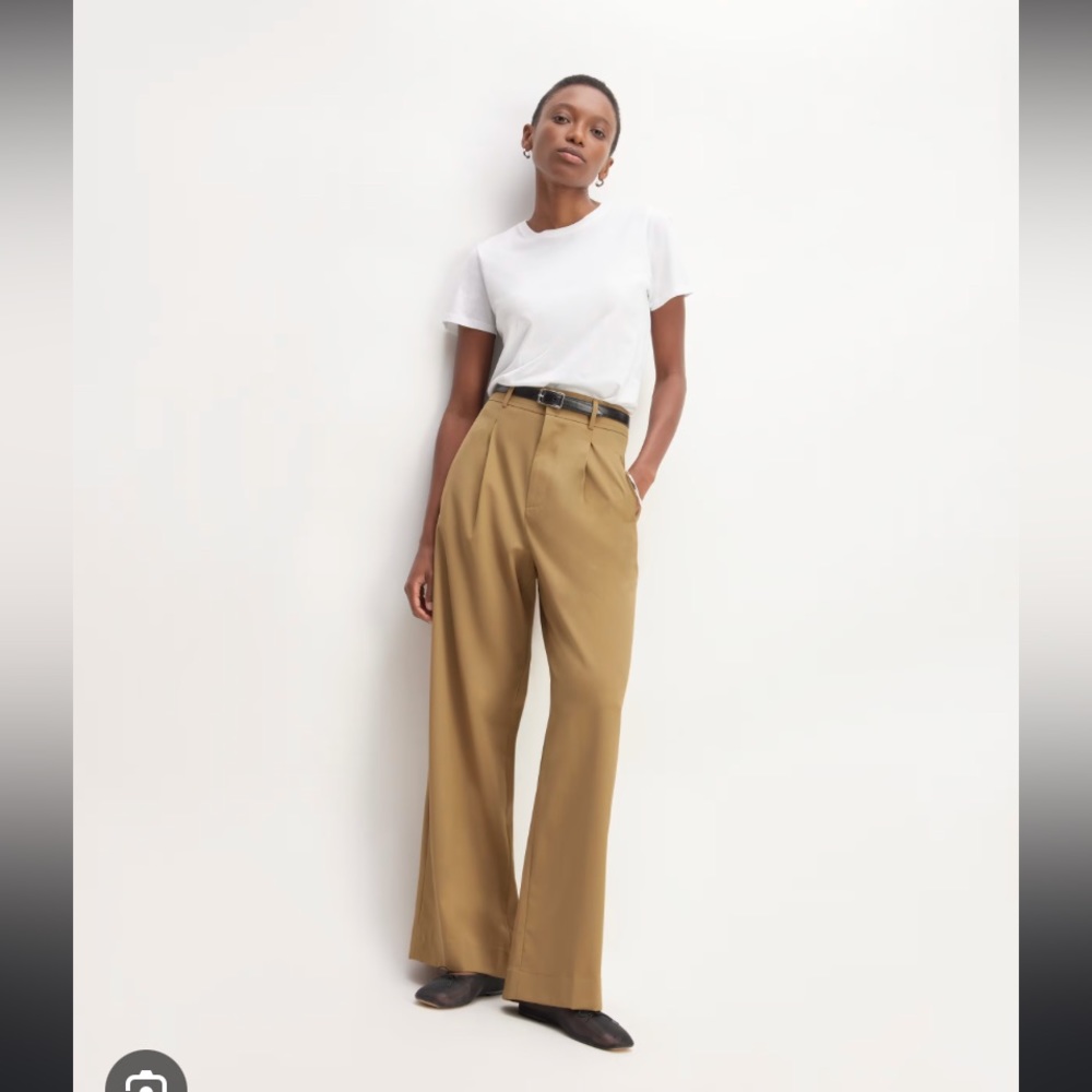 Everlane the italian wool way-high drape pant in camel